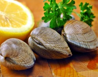 Raw Clams